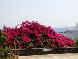 Sunset View Guest House - 9