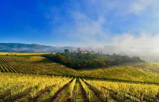 Locanda Le Piazze - Castellina in Chianti - 0