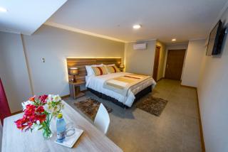 Hotel Insigne - Talca - 6