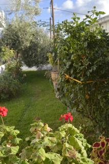 Zahner studio - Pitsidia - 3