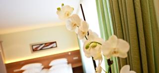 Hirsch Hotel - Ostfildern - 2