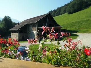 Laxhube - Gmünd in Kärnten - 1