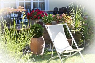 Der Stasta - Viena - 1