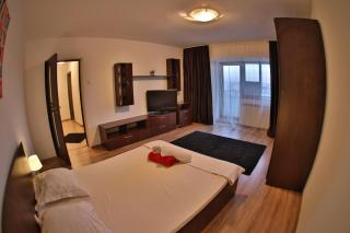 Dream Residence 49 - Bucharest - 3