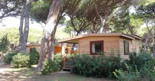 Le Esperidi Camping Ecoresort - Marina di Bibbona - 7