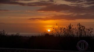 Es Serral - Felanitx - 5