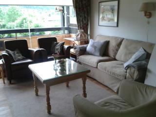 Oostenrijk-walchsee-Hasewinkel - 2