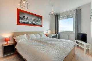 Aviator Modern 50 - 4