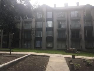 Departamento en Pucon - 4