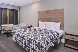 Palace Inn Blue Tomball Parkway - Houston - 5