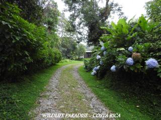 Wildlife Paradise - Monteverde Costa Rica - 1
