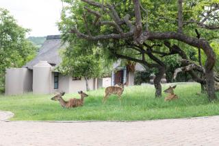Muluwa Lodge - White River - 1
