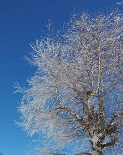 Haus Ferienglück - 1