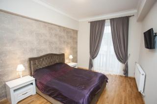 Mickeviciaus str apartment - Kaunas - 2