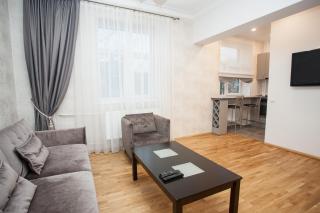 Mickeviciaus str apartment - Kaunas - 1