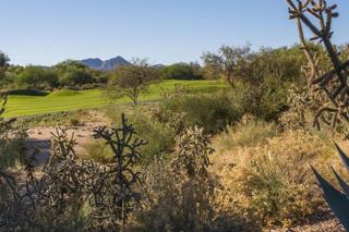 Ventana Greens - Tucson - 5