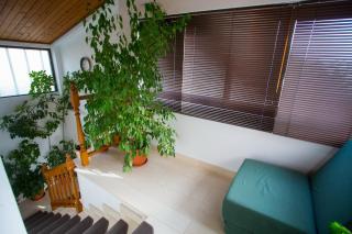 Apartments Tanja - Podgora - 2