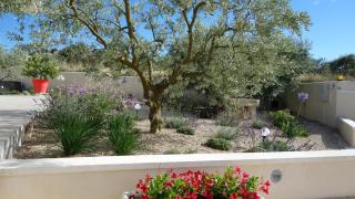 Les Lavandins-Gite Frédéric - Saint-Rémy-de-Provence - 4