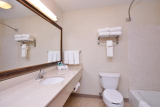 Holiday Inn Express Hotel & Suites Sioux Falls At Empire Mall by IHG - 3