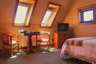 Hotel Puelche - Puerto Varas - 6