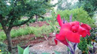 Nepole Home Holiday - Torre Vado - 3