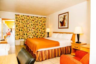 Lakeview Motel - Lakeland - 7