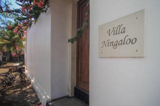 Ningaloo Villa - Gili Trawangan - 5