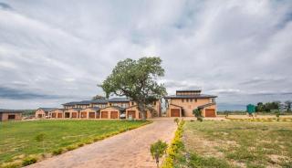 Hoyohoyo Acorns Lodge - Mission - 9