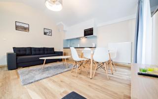 Apartamenty Sun & Snow Szklarska Perła - Szklarska Poręba - 4