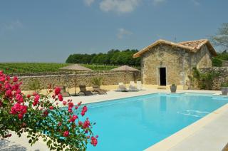 Chateau Carbonneau - Pessac-sur-Dordogne - 6