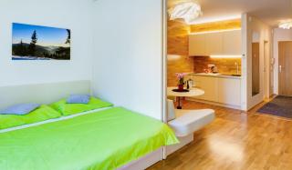 Apartman Medvědín 306 - Špindlerův Mlýn - 0