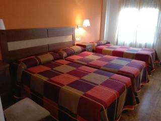 Hostal Patrón - Castañares de Rioja - 6