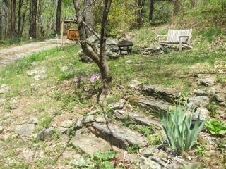 Autumn Ridge- Cozy cabin in the Blue Ridge Mountains with a bubbly hot tub! - 6