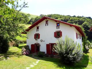 Chambres d'hôtes Idiartekoborda - Saint-Étienne-de-Baïgorry - 2
