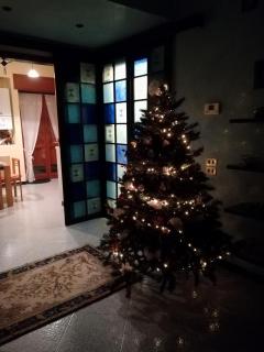 Notti di luna - 8