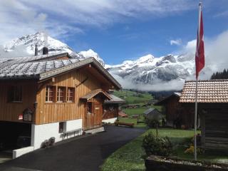 Gässlihof - Gstaad - 9