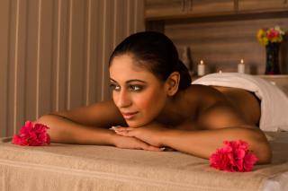 Dhawala Resort By Aamod - Alwar - 7