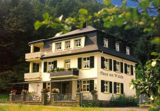 Pension "Haus am Walde" Brodenbach, Mosel - Brodenbach - 2
