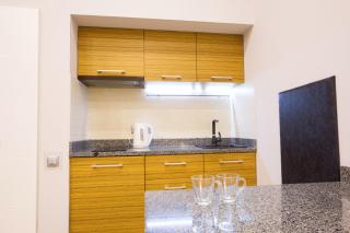 Pushkinskaya Apartments - Charkiv - 5