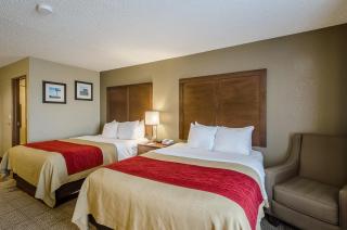 Comfort Inn Lexington - Lexington - 6