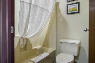Comfort Inn Lexington - Lexington - 8