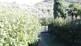 Terrazza sugli Ulivi - Riva del Garda - 2