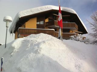 Apartment Haus Arnika - 8