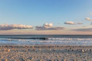 House 314 - Myrtle Beach - 1