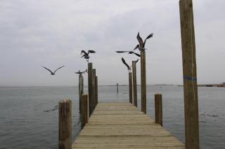 Leeward 9303 - Padre Island - 8