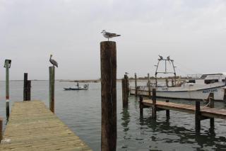 Leeward 9303 - Padre Island - 5