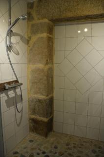 LA FERME des DAIMS - Saint-Quay-Perros - 1