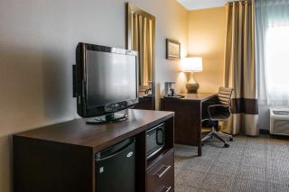 Comfort Inn Ludington near US-10 - Ludington - 3