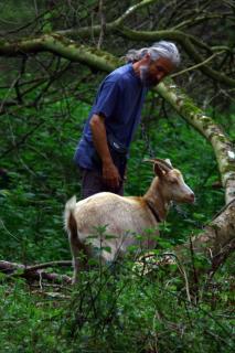 LA FERME des DAIMS - Saint-Quay-Perros - 6