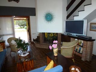 Villa Fiore - San Pantaleo - 5